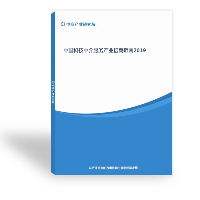 科技中介服务研究报告 现状、挑战与未来发展路径
